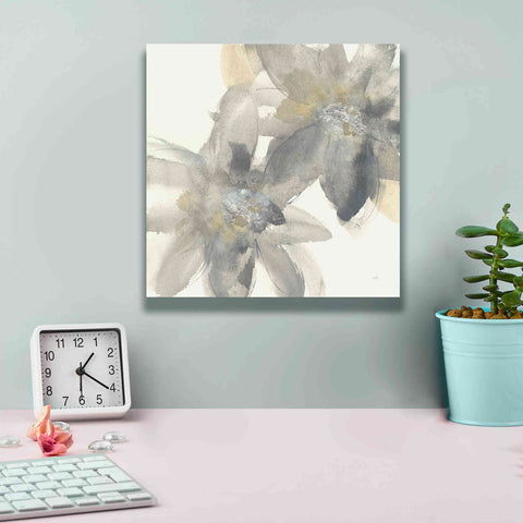 Image of 'Gray And Silver Flowers II' by Chris Paschke, Giclee Canvas Wall Art,12 x 12