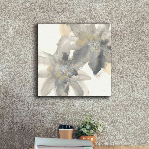 Image of 'Gray And Silver Flowers II' by Chris Paschke, Giclee Canvas Wall Art,18 x 18