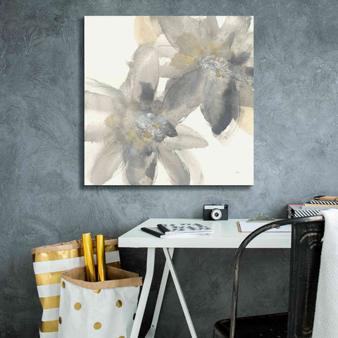 Image of 'Gray And Silver Flowers II' by Chris Paschke, Giclee Canvas Wall Art,26 x 26