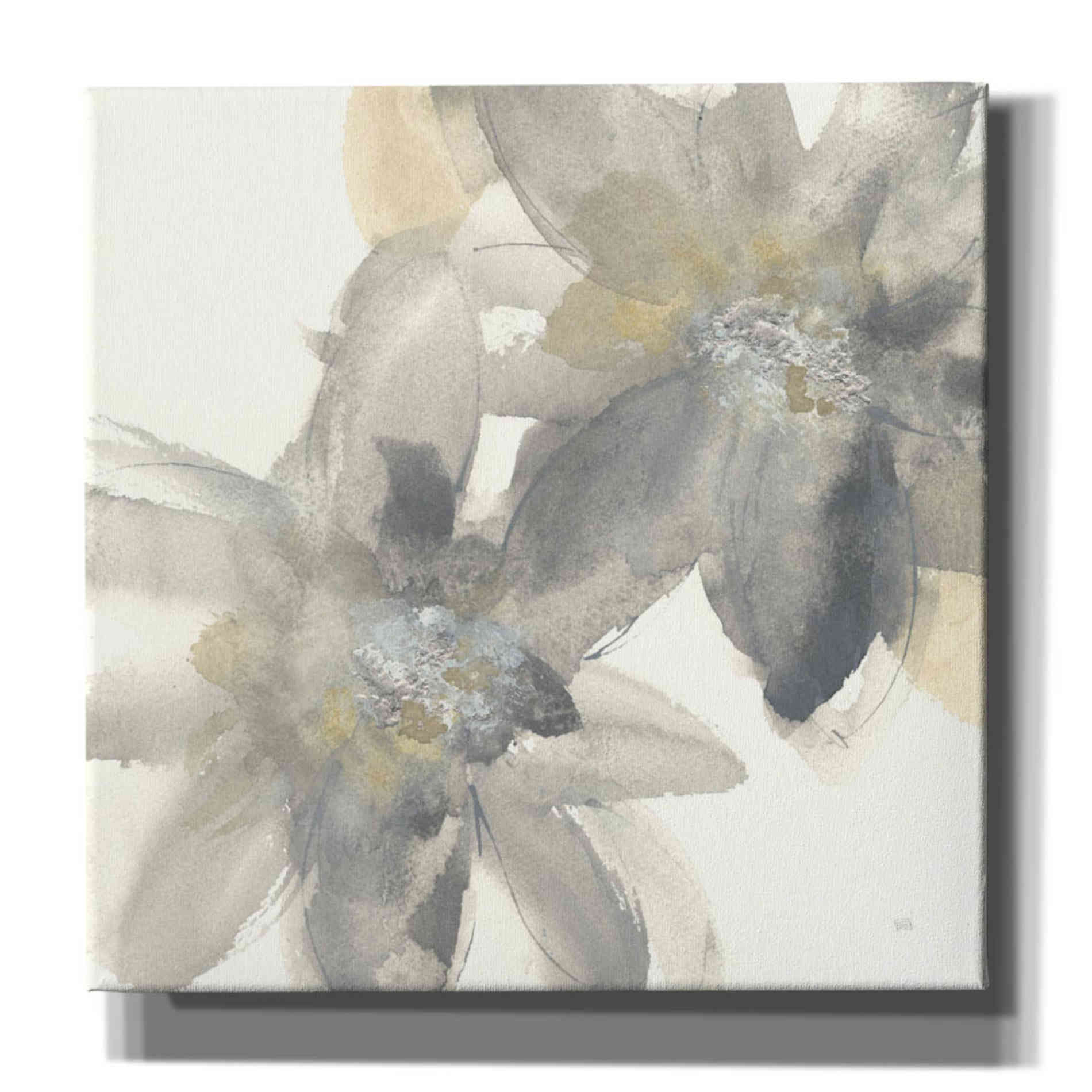 'Gray And Silver Flowers II' by Chris Paschke, Giclee Canvas Wall Art