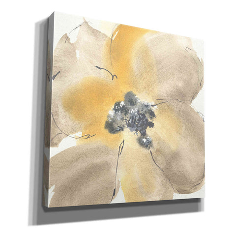 Image of 'Flower Tones I' by Chris Paschke, Giclee Canvas Wall Art