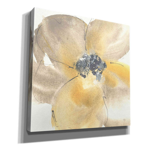 Image of 'Flower Tones II' by Chris Paschke, Giclee Canvas Wall Art