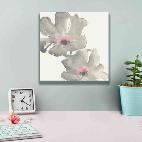 Image of 'Gray Blush Cosmos I' by Chris Paschke, Giclee Canvas Wall Art,12 x 12