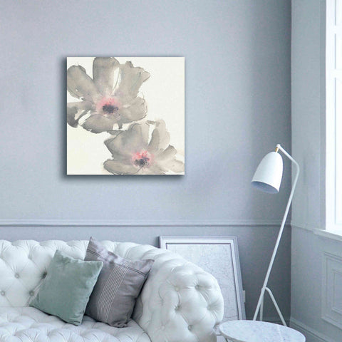 Image of 'Gray Blush Cosmos I' by Chris Paschke, Giclee Canvas Wall Art,37 x 37
