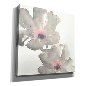 'Gray Blush Cosmos I' by Chris Paschke, Giclee Canvas Wall Art