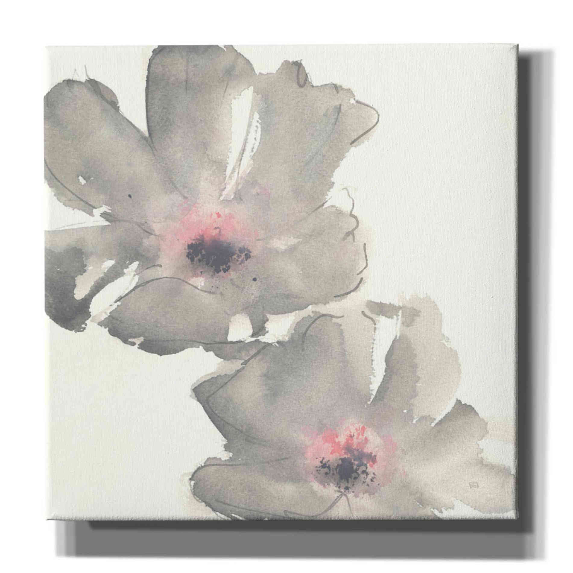 'Gray Blush Cosmos I' by Chris Paschke, Giclee Canvas Wall Art