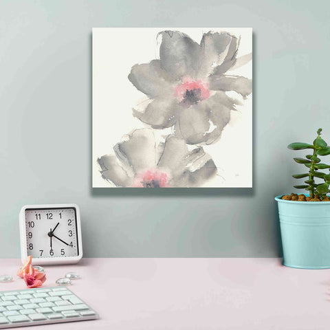 Image of 'Gray Blush Cosmos II' by Chris Paschke, Giclee Canvas Wall Art,12 x 12