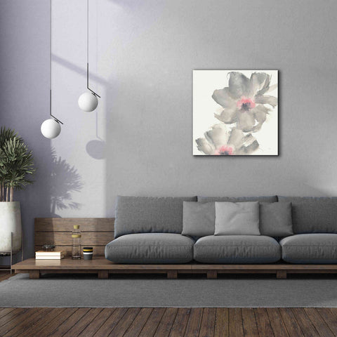 Image of 'Gray Blush Cosmos II' by Chris Paschke, Giclee Canvas Wall Art,37 x 37