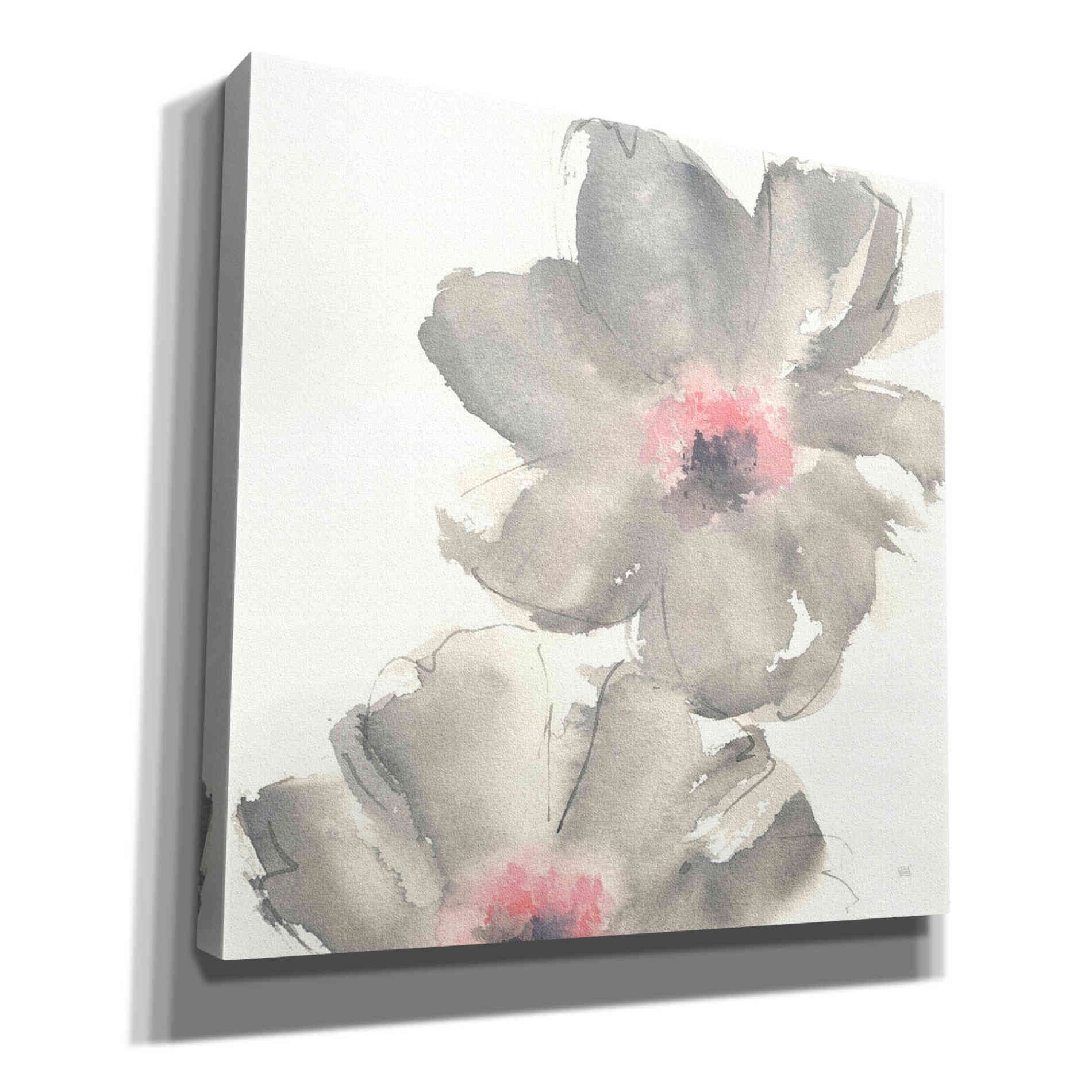 'Gray Blush Cosmos II' by Chris Paschke, Giclee Canvas Wall Art