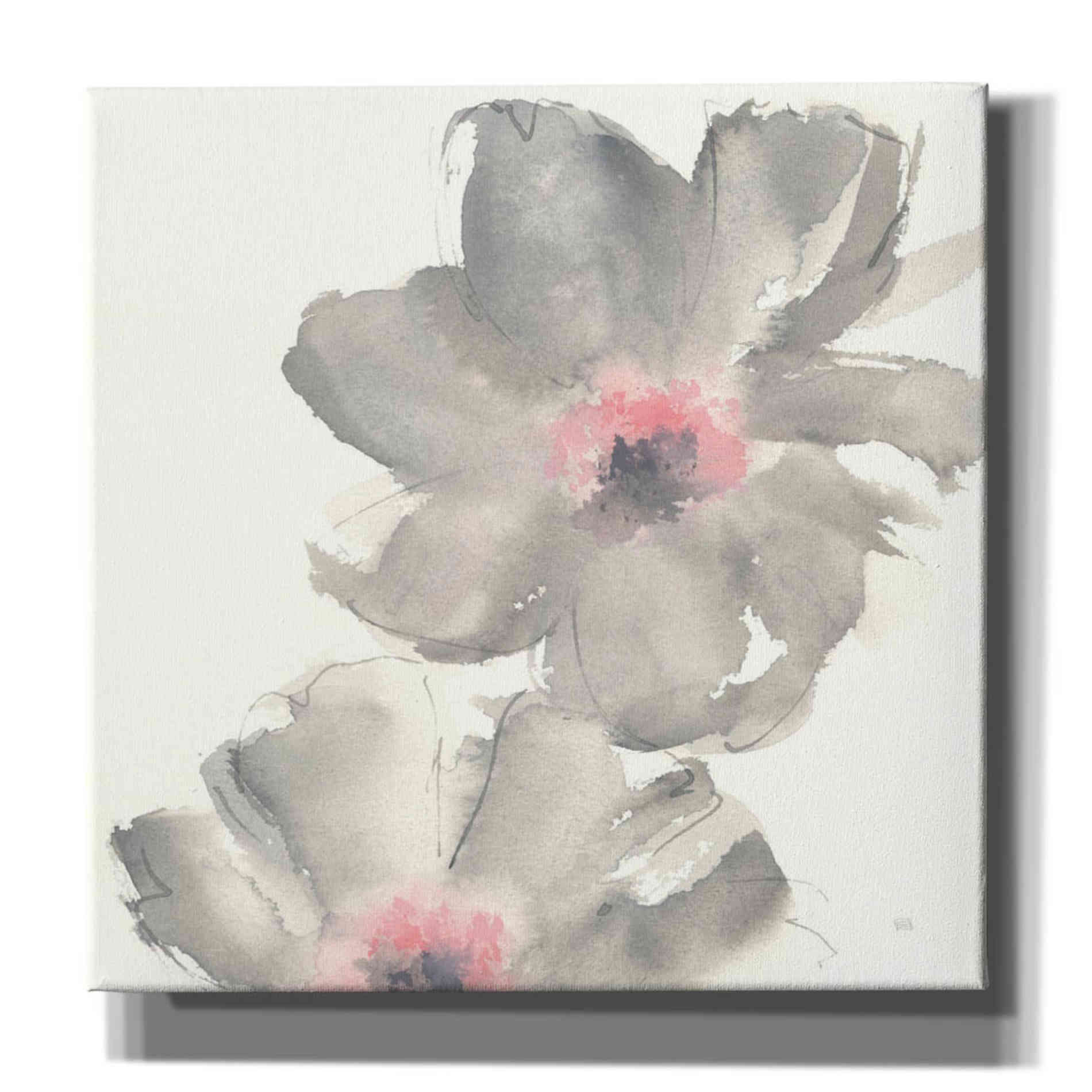 'Gray Blush Cosmos II' by Chris Paschke, Giclee Canvas Wall Art