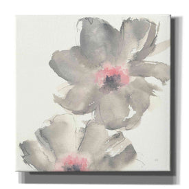 'Gray Blush Cosmos II' by Chris Paschke, Giclee Canvas Wall Art