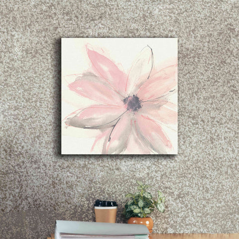 Image of 'Blush Clematis I' by Chris Paschke, Giclee Canvas Wall Art,18 x 18