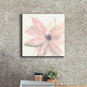 'Blush Clematis I' by Chris Paschke, Giclee Canvas Wall Art,18 x 18