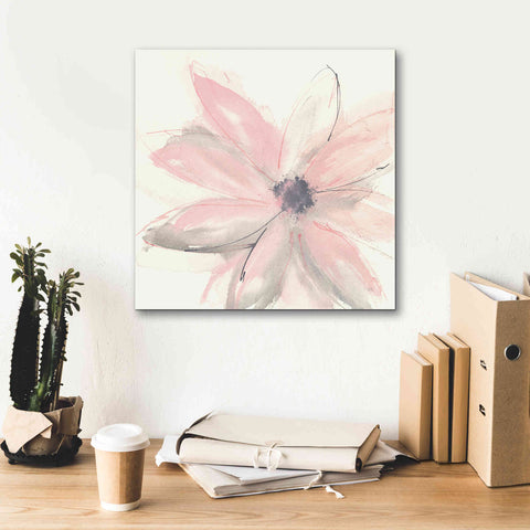 Image of 'Blush Clematis I' by Chris Paschke, Giclee Canvas Wall Art,18 x 18