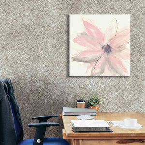 'Blush Clematis I' by Chris Paschke, Giclee Canvas Wall Art,26 x 26