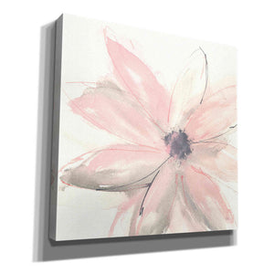 'Blush Clematis I' by Chris Paschke, Giclee Canvas Wall Art