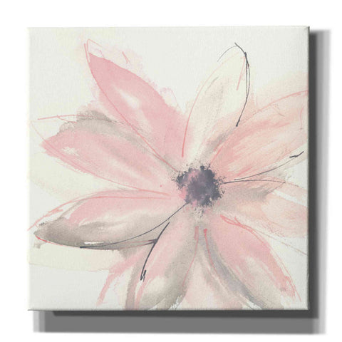 Image of 'Blush Clematis I' by Chris Paschke, Giclee Canvas Wall Art