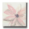 'Blush Clematis I' by Chris Paschke, Giclee Canvas Wall Art