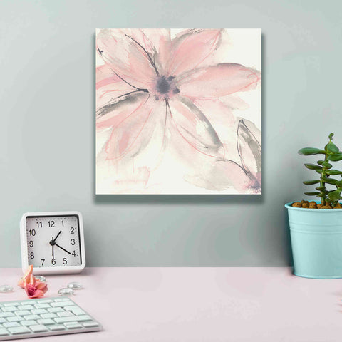 Image of 'Blush Clematis II' by Chris Paschke, Giclee Canvas Wall Art,12 x 12