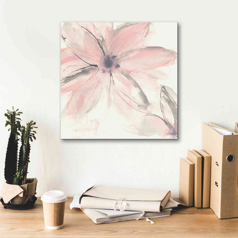 Image of 'Blush Clematis II' by Chris Paschke, Giclee Canvas Wall Art,18 x 18