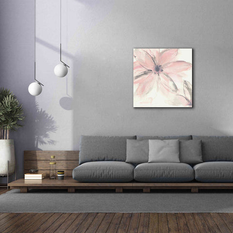 Image of 'Blush Clematis II' by Chris Paschke, Giclee Canvas Wall Art,37 x 37