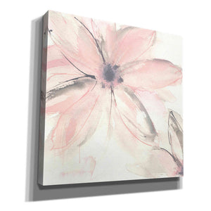 'Blush Clematis II' by Chris Paschke, Giclee Canvas Wall Art