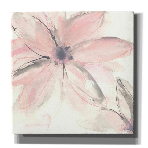 Image of 'Blush Clematis II' by Chris Paschke, Giclee Canvas Wall Art