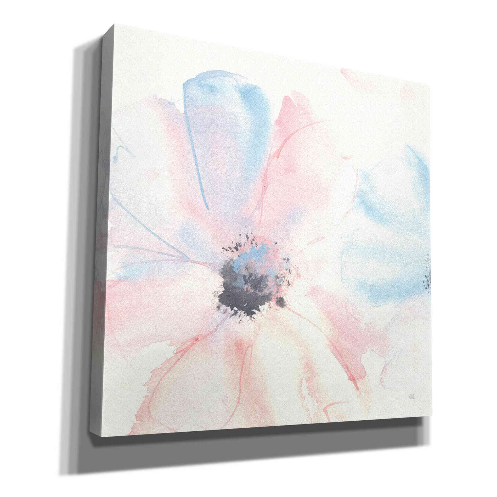 'Parfait Cosmos II' by Chris Paschke, Giclee Canvas Wall Art