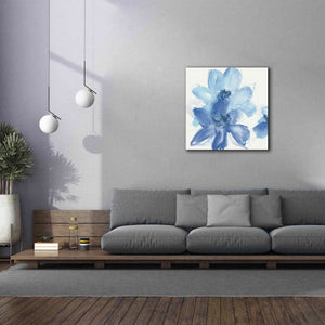 'Cobalt Clematis I' by Chris Paschke, Giclee Canvas Wall Art,37 x 37