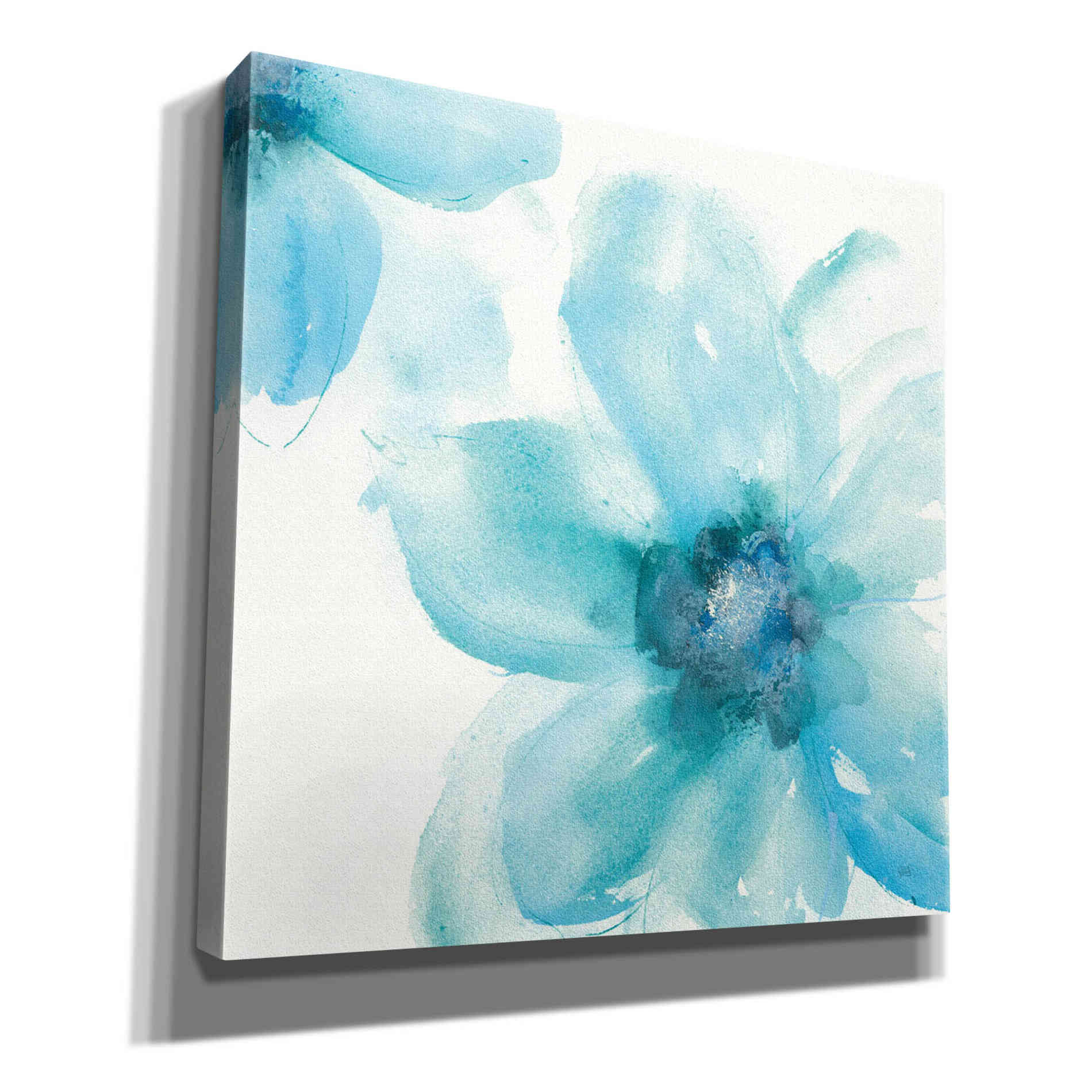 'Teal Cosmos I' by Chris Paschke, Giclee Canvas Wall Art