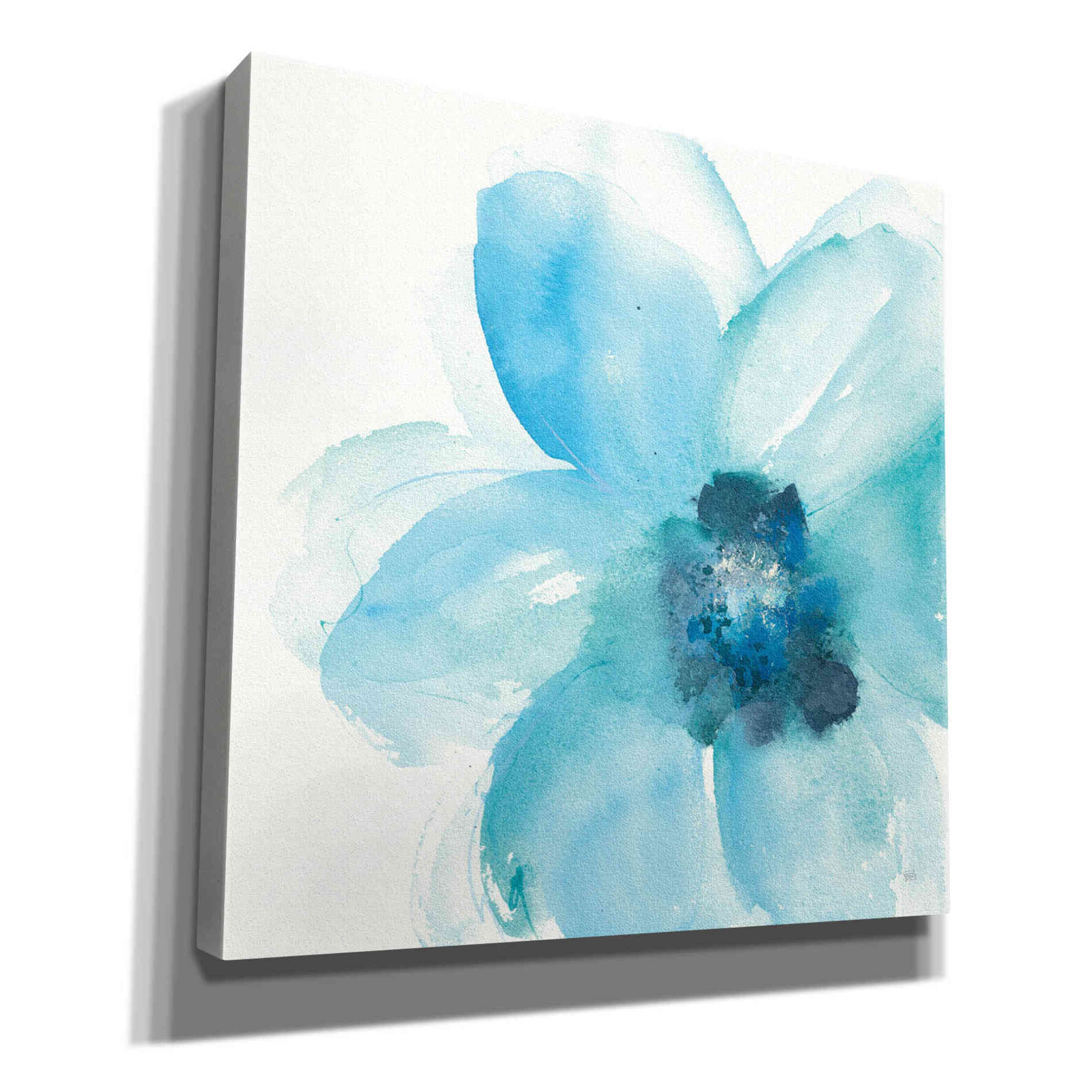 'Teal Cosmos II' by Chris Paschke, Giclee Canvas Wall Art