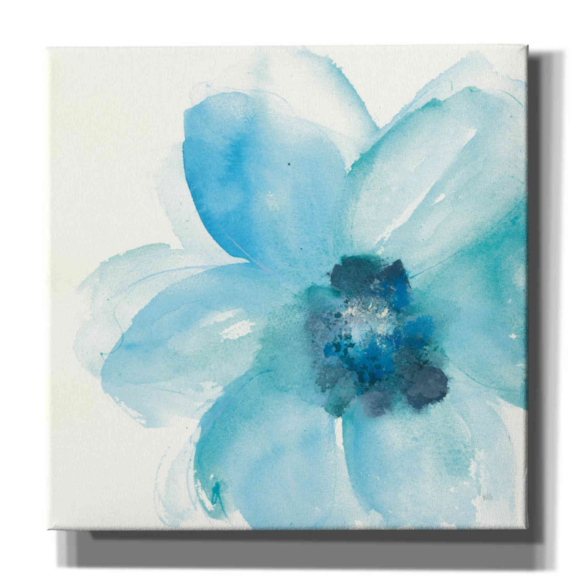 'Teal Cosmos II' by Chris Paschke, Giclee Canvas Wall Art