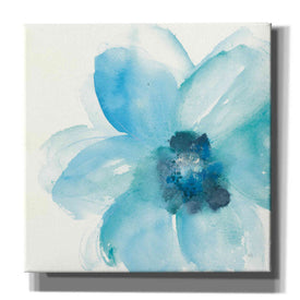 'Teal Cosmos II' by Chris Paschke, Giclee Canvas Wall Art