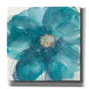 'Bloom Beauty II' by Chris Paschke, Giclee Canvas Wall Art