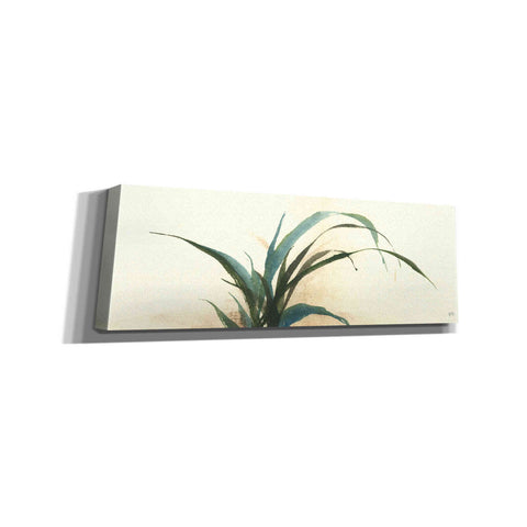 Image of 'Horizontal Grass I' by Chris Paschke, Giclee Canvas Wall Art