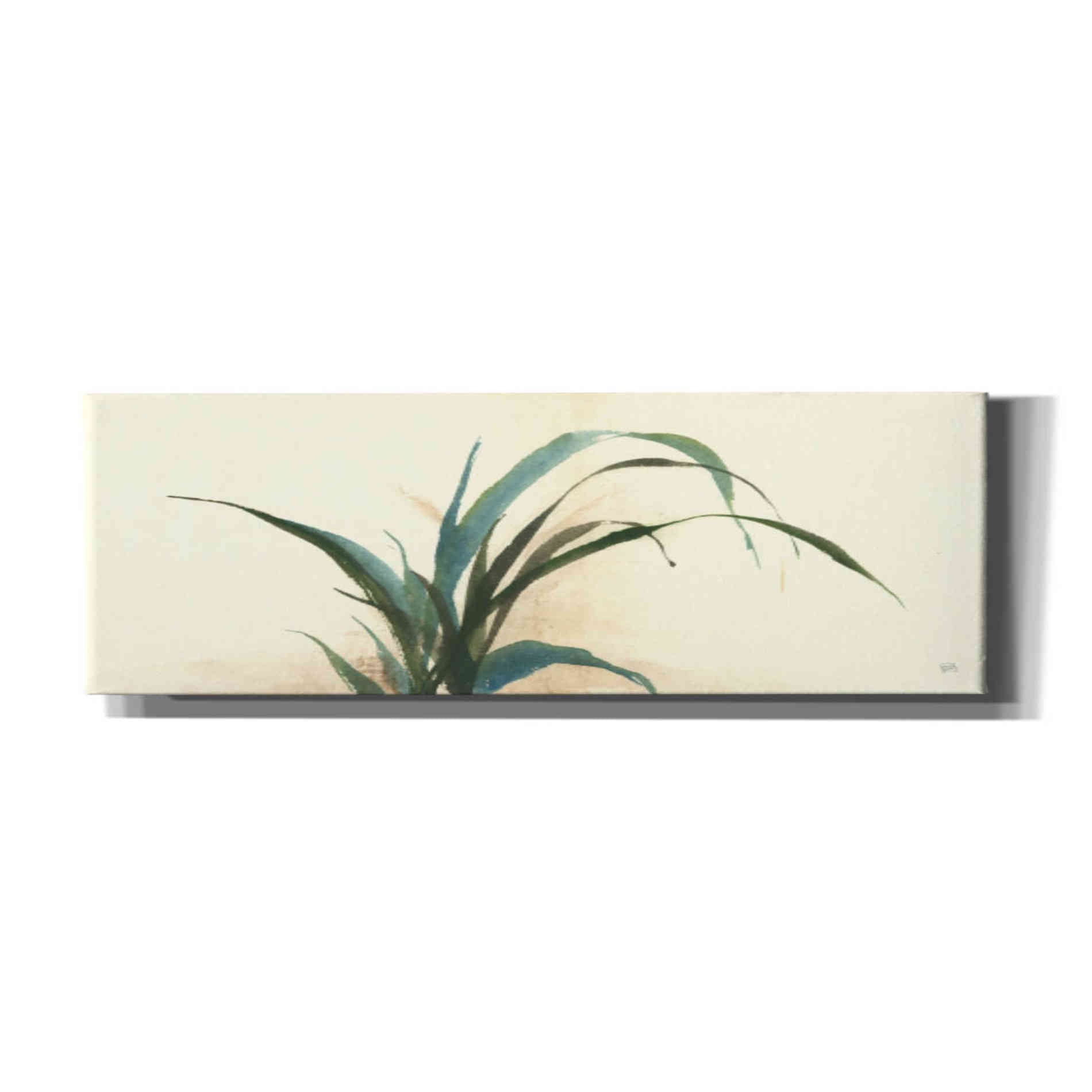 'Horizontal Grass I' by Chris Paschke, Giclee Canvas Wall Art