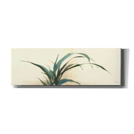'Horizontal Grass I' by Chris Paschke, Giclee Canvas Wall Art