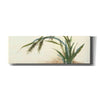 'Horizontal Grass II' by Chris Paschke, Giclee Canvas Wall Art