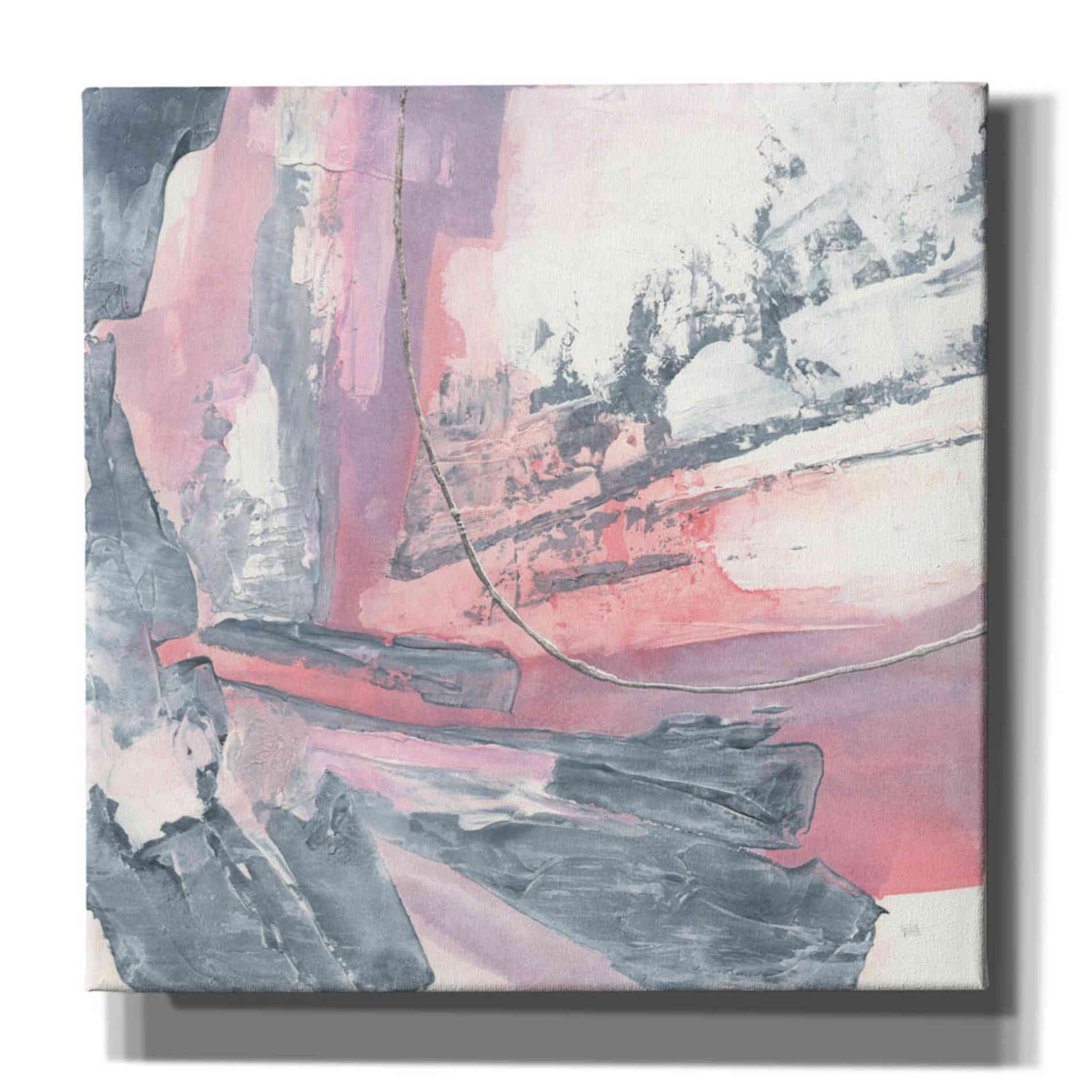 'Whitewashed Blush I' by Chris Paschke, Giclee Canvas Wall Art