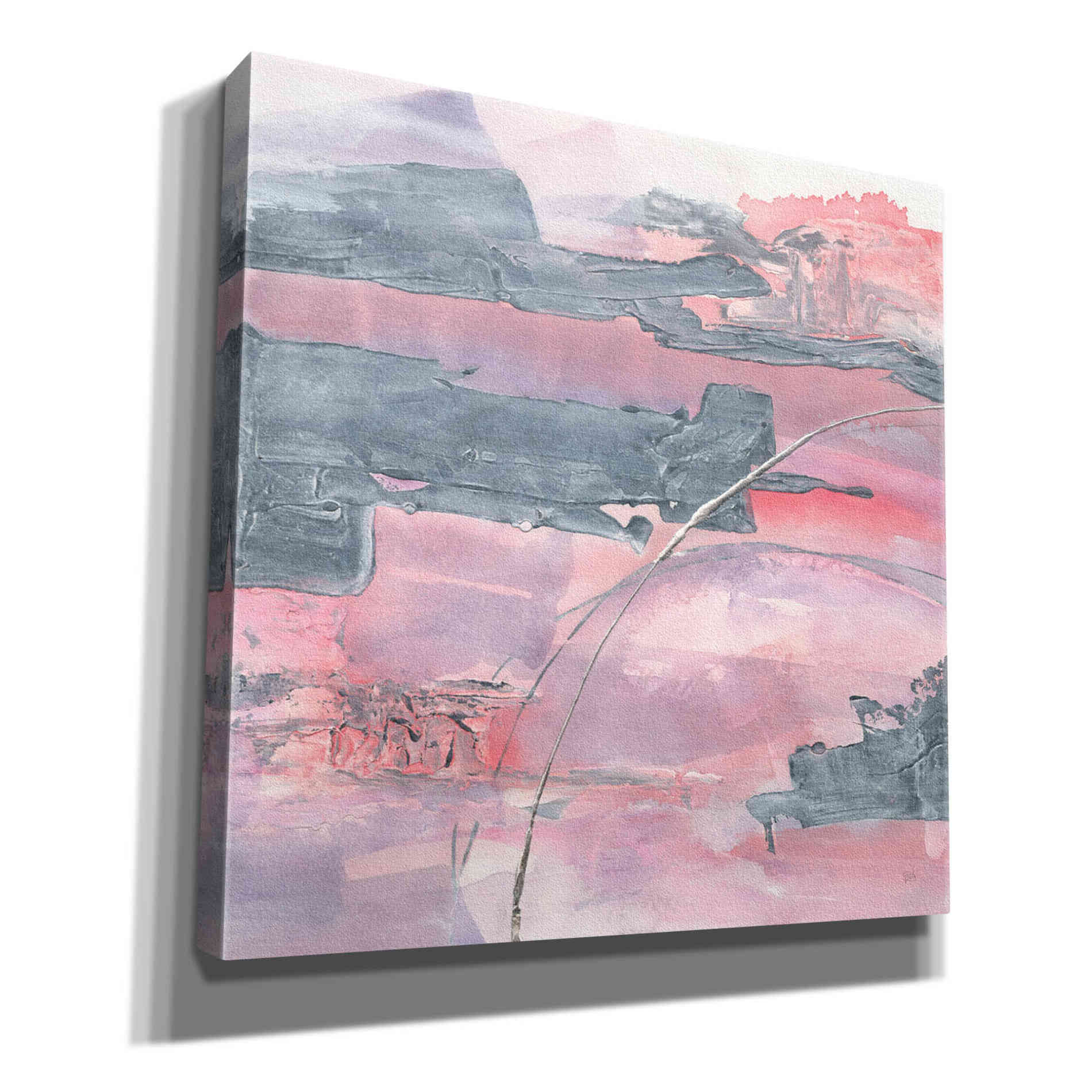 'Whitewashed Blush II' by Chris Paschke, Giclee Canvas Wall Art