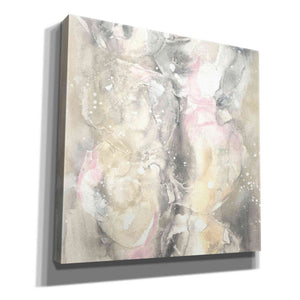 'Blushing Snowflakes II' by Chris Paschke, Giclee Canvas Wall Art