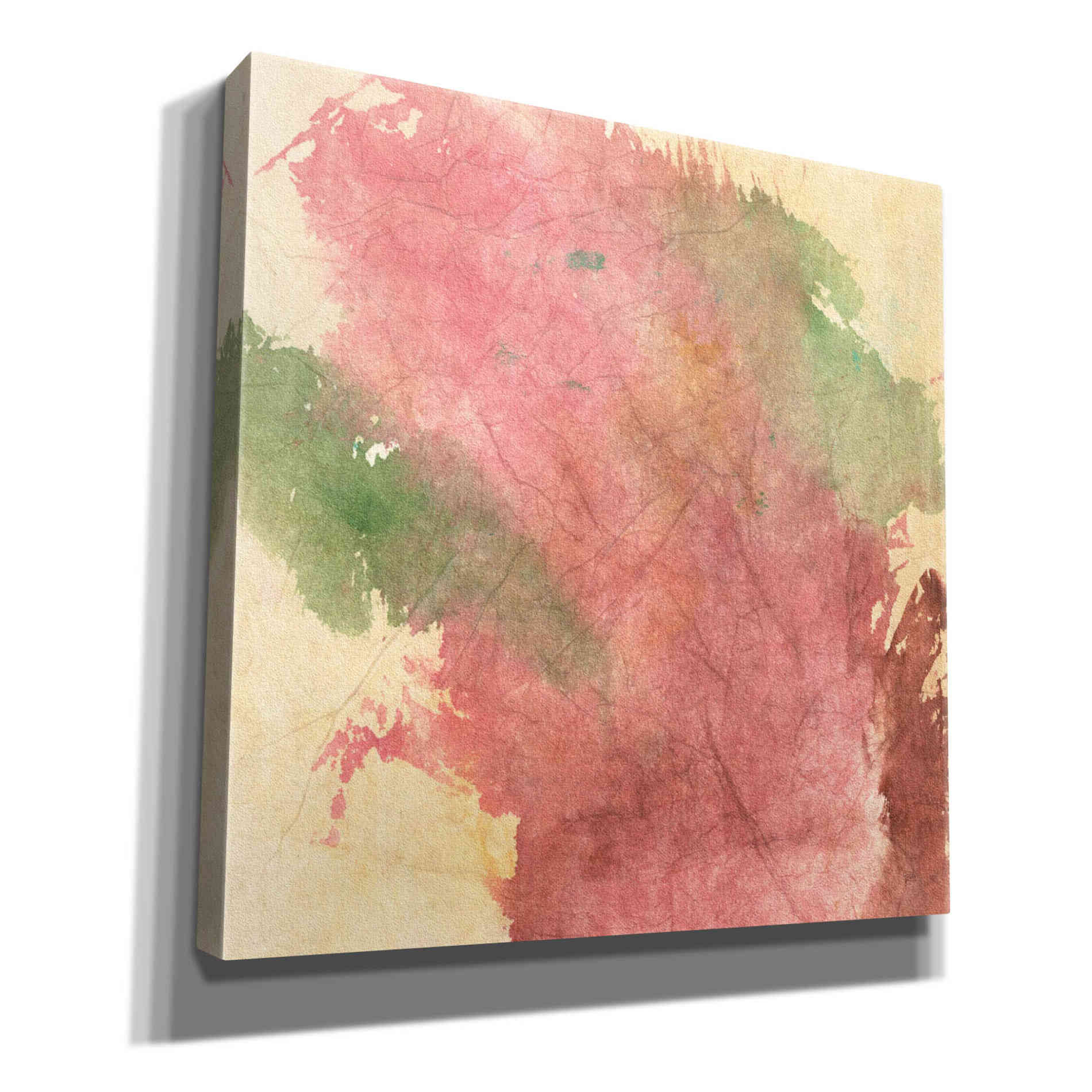 'Rouge Growth I' by Chris Paschke, Giclee Canvas Wall Art