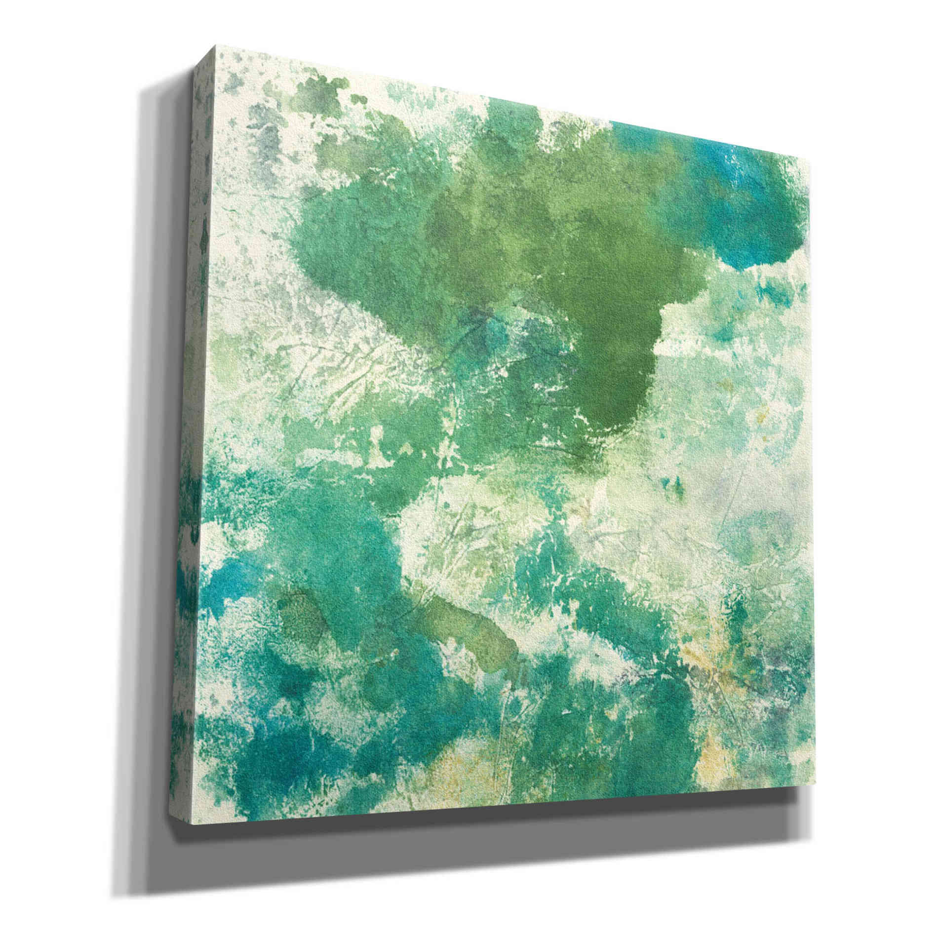 'Mossy Rock II' by Chris Paschke, Giclee Canvas Wall Art