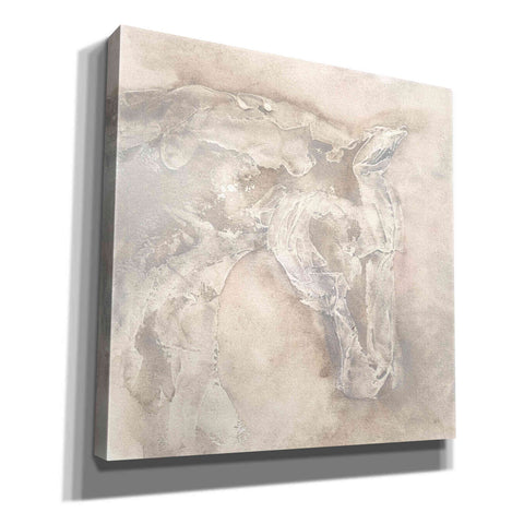 Image of 'Gray Head III' by Chris Paschke, Giclee Canvas Wall Art