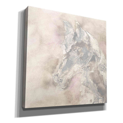 Image of 'Gray Head IV' by Chris Paschke, Giclee Canvas Wall Art