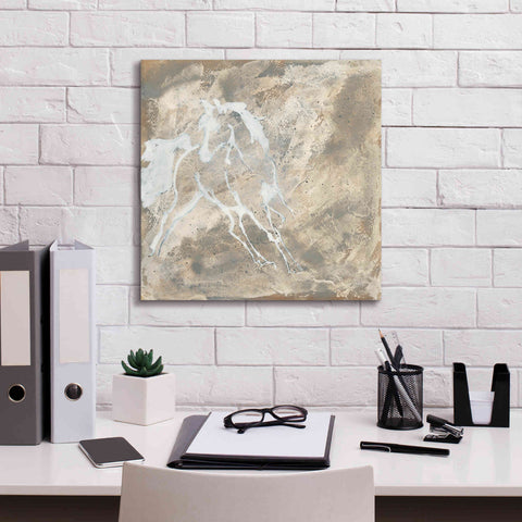 Image of 'White Horse I' by Chris Paschke, Giclee Canvas Wall Art,18 x 18