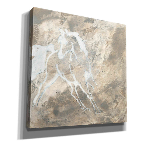 Image of 'White Horse I' by Chris Paschke, Giclee Canvas Wall Art