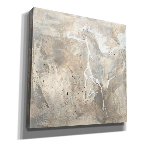 Image of 'White Horse II' by Chris Paschke, Giclee Canvas Wall Art