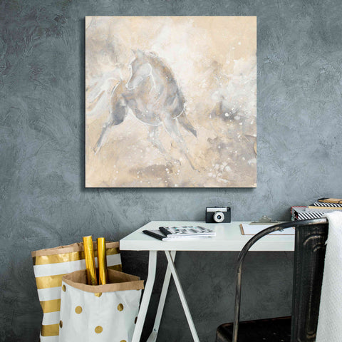 Image of 'Grey Horse I' by Chris Paschke, Giclee Canvas Wall Art,26 x 26
