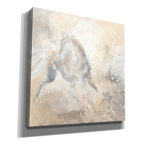 Image of 'Grey Horse I' by Chris Paschke, Giclee Canvas Wall Art